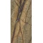Керамогранит Casalgrande Padana Marmoker Brown Forest Honed 10mm 60x120