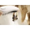 Душевая лейка для собак Hansgrohe DogShower 150 3jet 26640560 - 8